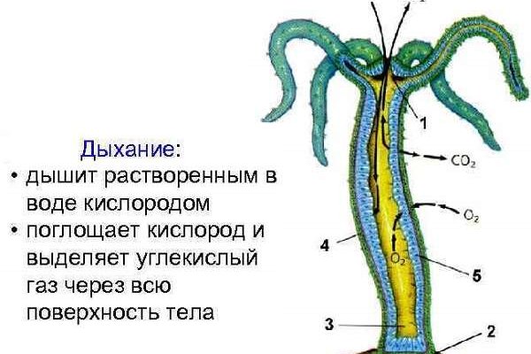 BlackSprut магазин ссылка